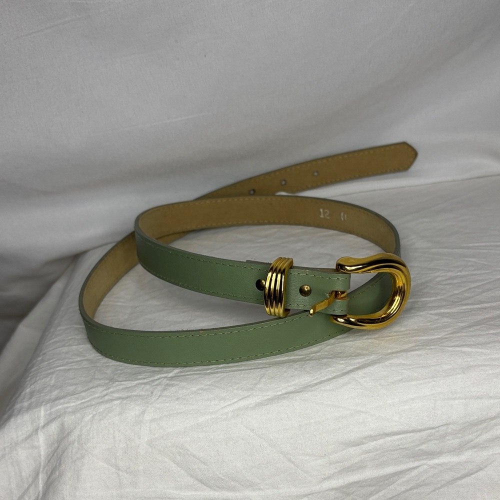 Belt with Gold Buckle
